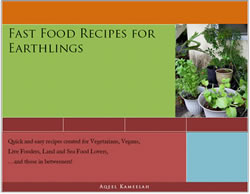 Fast Food For Earthlings Fast Food For Earthlings